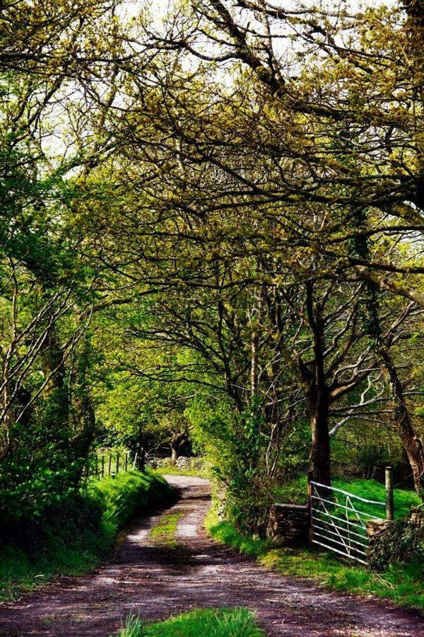 Cilhendre Holiday Cottages - The Dairy Swansea Dış mekan fotoğraf
