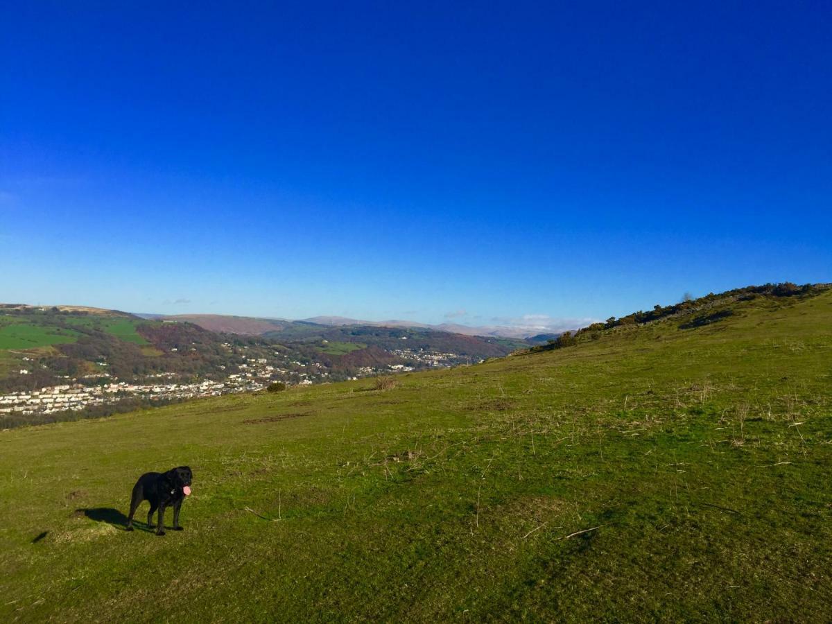Cilhendre Holiday Cottages - The Dairy Swansea Dış mekan fotoğraf