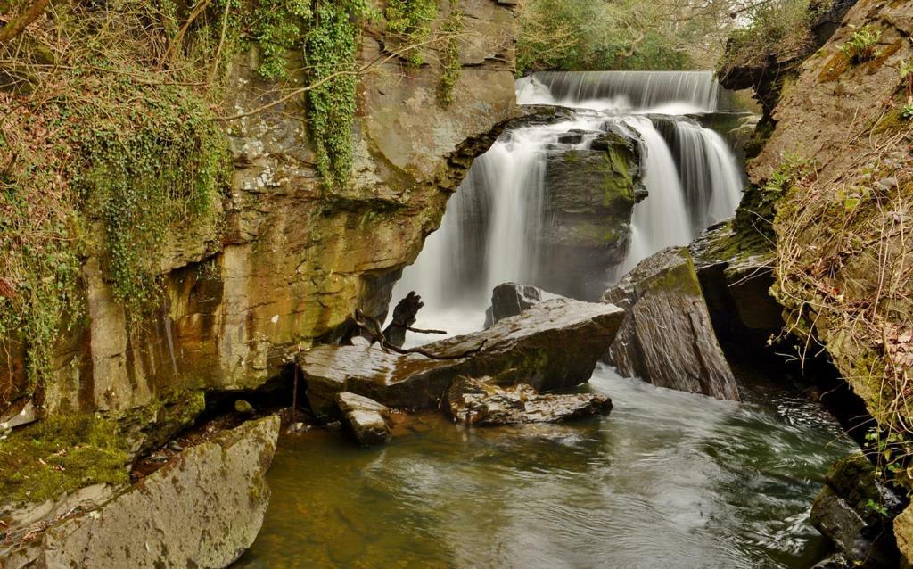 Cilhendre Holiday Cottages - The Dairy Swansea Dış mekan fotoğraf